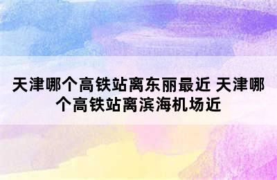 天津哪个高铁站离东丽最近 天津哪个高铁站离滨海机场近